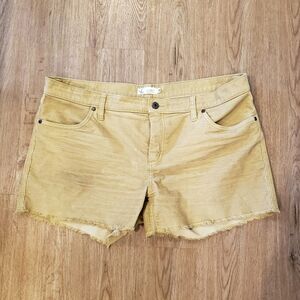 Carve Designs Oahu Shorts, Cumin, 4" Inseam
